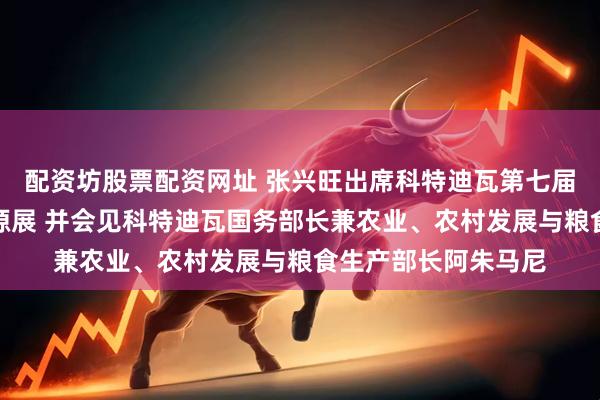 配资坊股票配资网址 张兴旺出席科特迪瓦第七届国际农业和动物资源展 并会见科特迪瓦国务部长兼农业、农村发展与粮食生产部长阿朱马尼