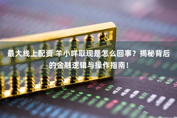 最大线上配资 羊小咩取现是怎么回事？揭秘背后的金融逻辑与操作指南！
